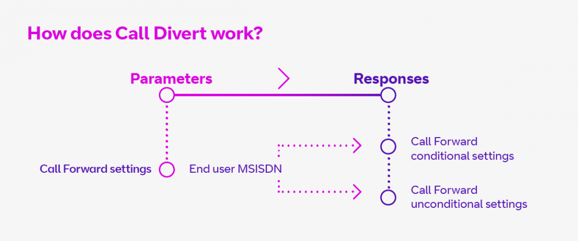 what is the meaning of the word call divert
